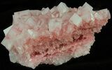 Pink Halite Crystal Plate - Trona, California #61054-2